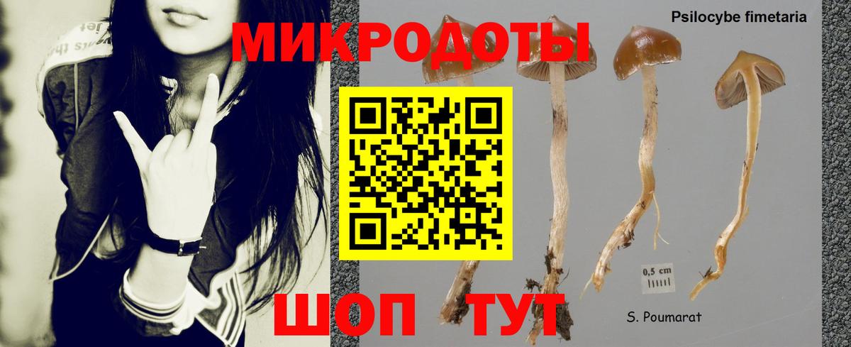 Галлюциногенные грибы Psilocybine cubensis Кириши