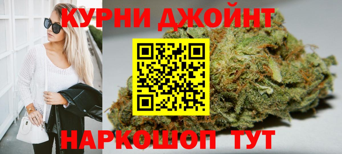 Бошки Шишки планчик Кириши