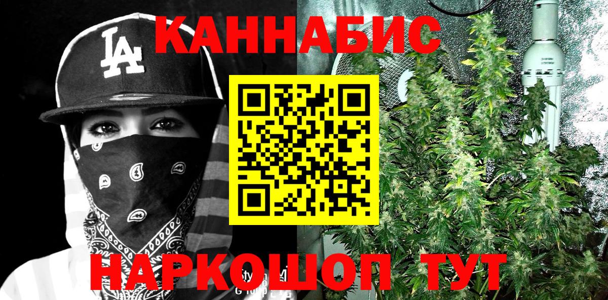 Шишки марихуана конопля  Конопля Bruce Banner  Конопля Amnesia  Вход с VPN  Марихуана LSD WEED  Кириши 